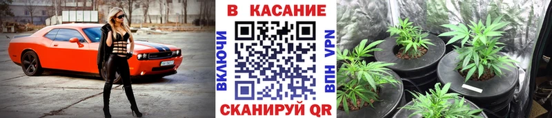 Купить наркоту Чадан Конопля  СОЛЬ  АМФ  Меф  ГАШИШ 