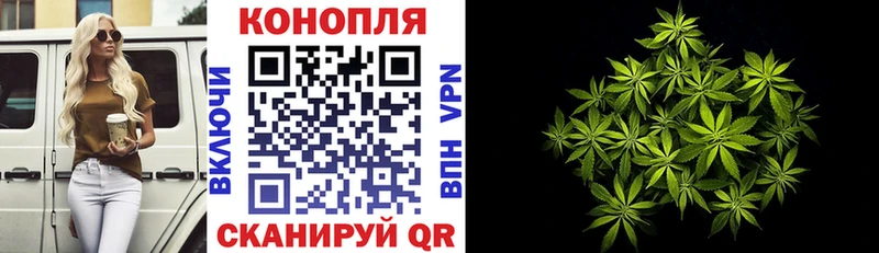 Шишки марихуана MAZAR  где можно купить наркотик  Чадан 